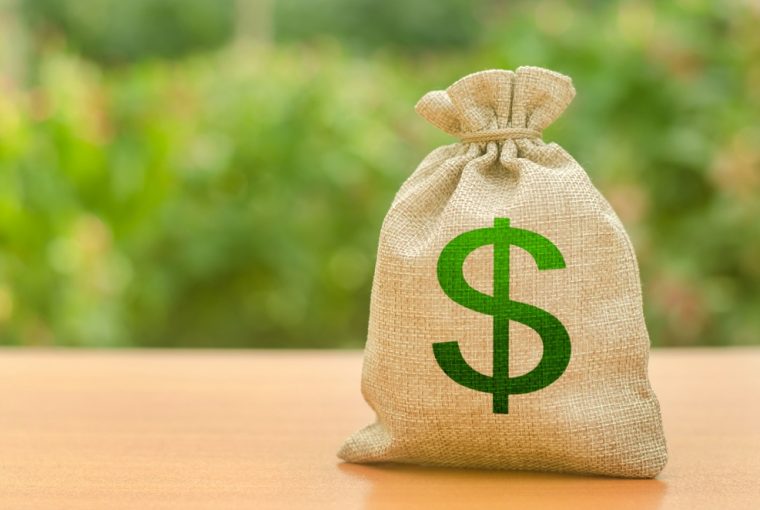 Saco de dinheiro simbolizando investir em tesouro direto em um fundo de natureza