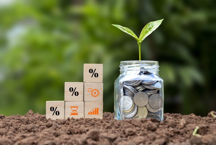 Bloco de madeira com símbolo de porcentagem crescente e uma árvore crescendo em uma garrafa transparente, o conceito de taxas de juros Selic e empréstimos para investimento