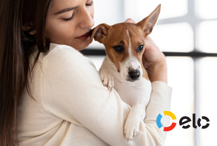 Assistência Pet da bandeira Elo