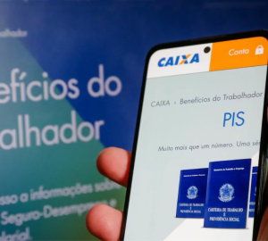 Como consultar e acessar benefícios do governo em 2025